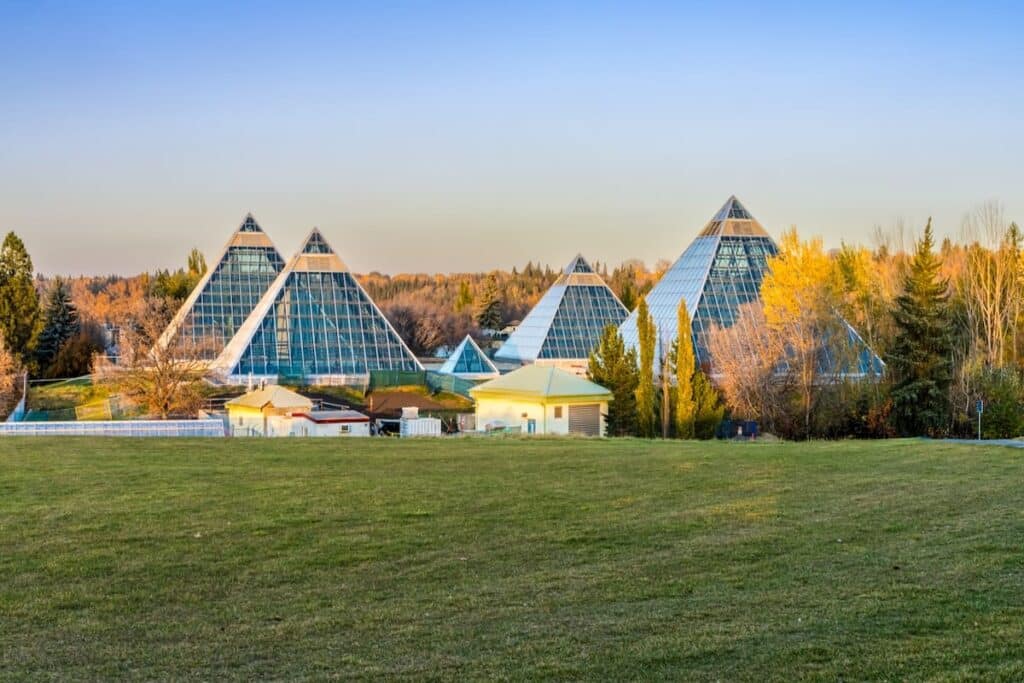 alberta-holds-five-provincial-immigration-draws-in-two-weeks